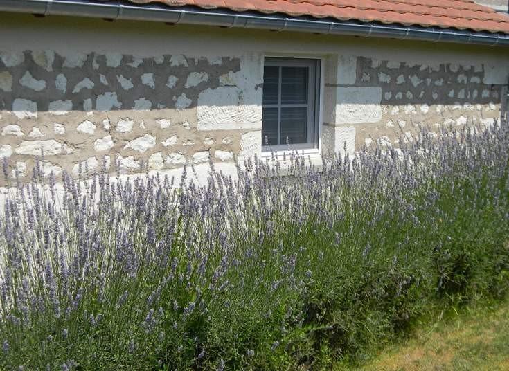 Gite - Chambres D'Hotes Faverolles Faverolles  Dış mekan fotoğraf